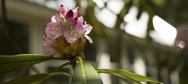 Vows Wedding & Event Venue - Sunday package